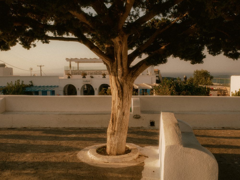 Twenty Five - Samuel Oakes